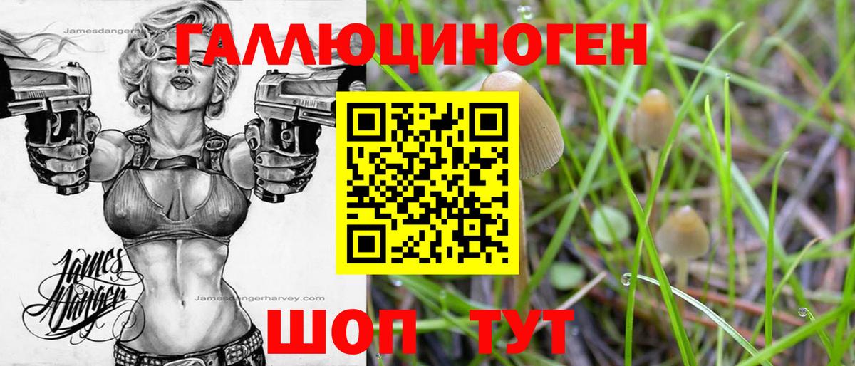 Псилоцибиновые грибы Psilocybine cubensis Холмск