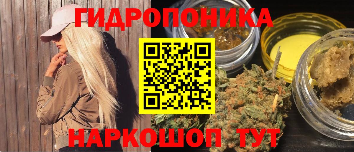 Бошки марихуана SATIVA & INDICA  Конопля тримм  Вход с VPN  Марихуана марихуана  Холмск 